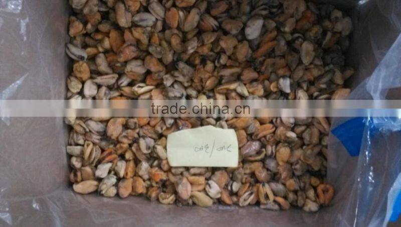 China seafood exporter frozen mussel boiled meat
