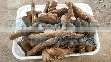 heat pump drying equipment for fruits vegetables and sea food and charcoal barbecue
