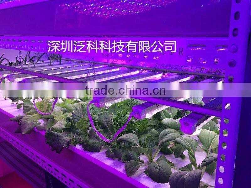 Hot seller 20w 660nm 450nm blue hydroponic led grow light bube with good price