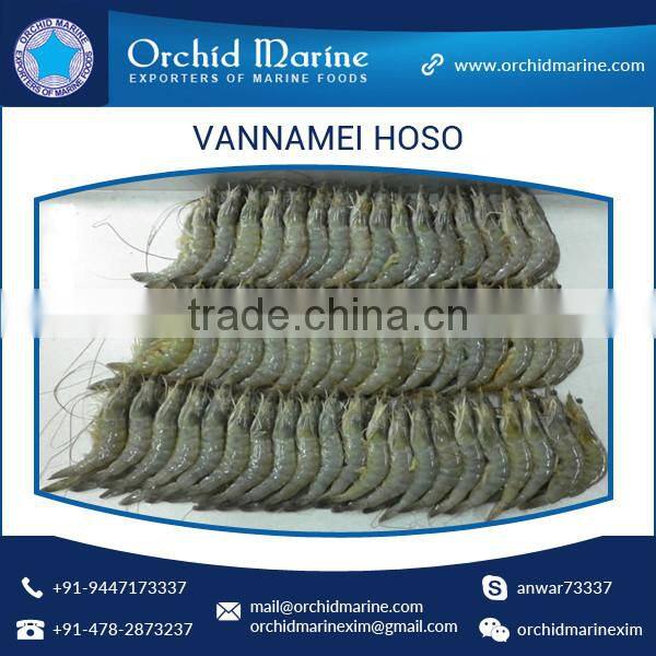 Trusted Supplier of High Quality Delicious, Healthy, Natural, Shrimp Vannamei