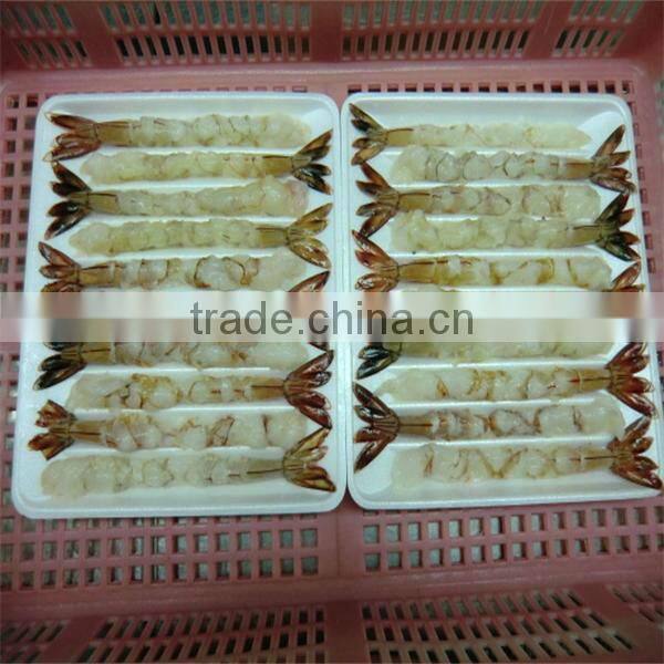 New fired frozen breaded raw fresh water shrimp in good quality