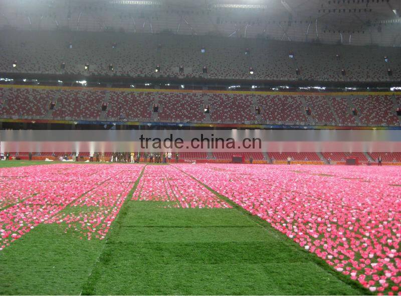 Artificial Grass for Beijing Paralympic Games