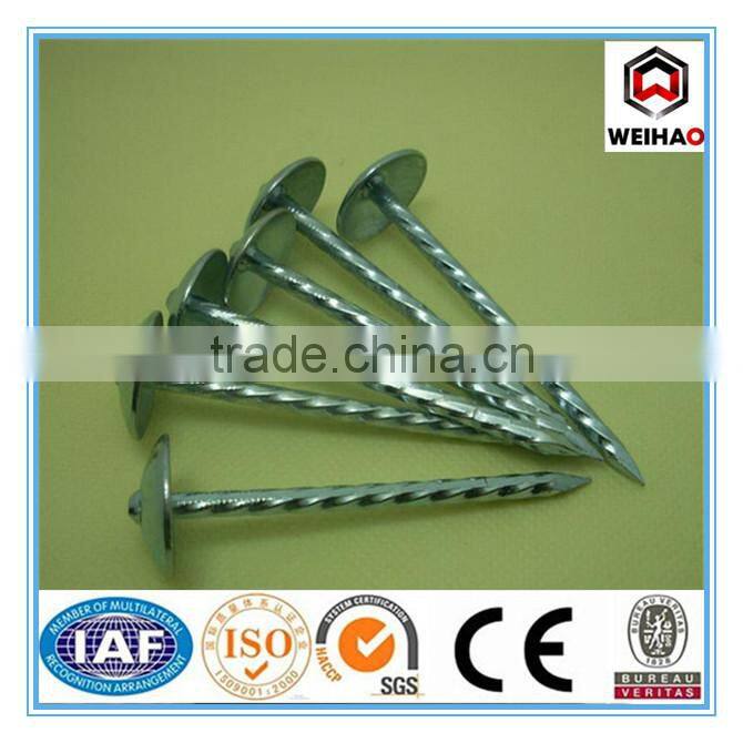 Umbrella head galvanized roofing nail with wahser