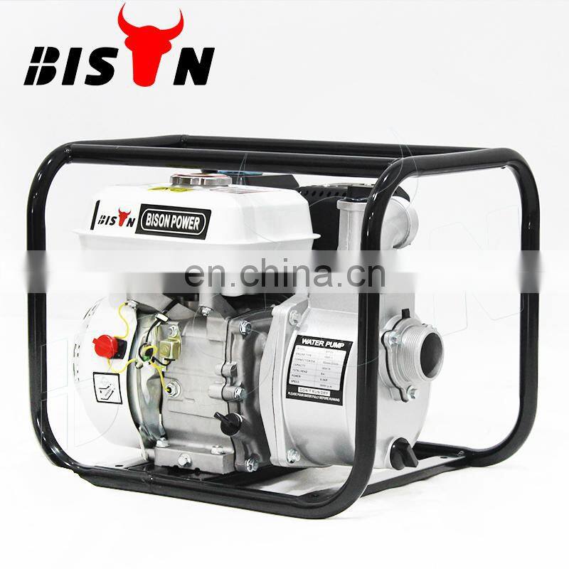 Bison China 2 inch 50mm Gasoline Water Pump 4 Stroke Petrol Water Pumping Machine Price Manual Hand Water Pump