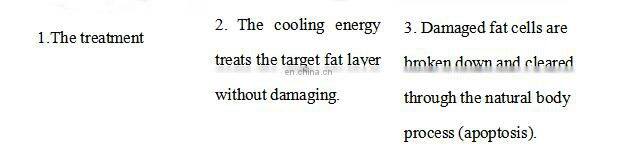 Multi-functional 360 cryo plates Fat Freezing Cellulite Removal Slimming Machine with 8 Pcs Cryo Pads