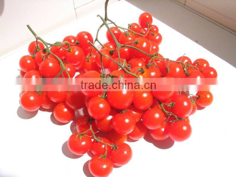 Pickled Cucumber & Tomato together in glass jar for export