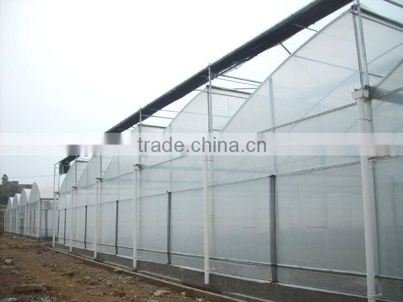 Vegetable Greenhouses for Sale