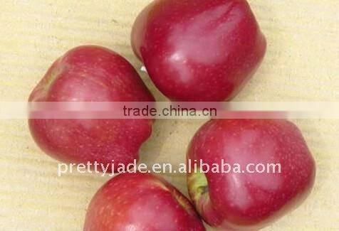 Chinese Huaniu apple