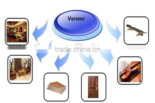 competity price 0.3mm rotary cut bintangor veneer