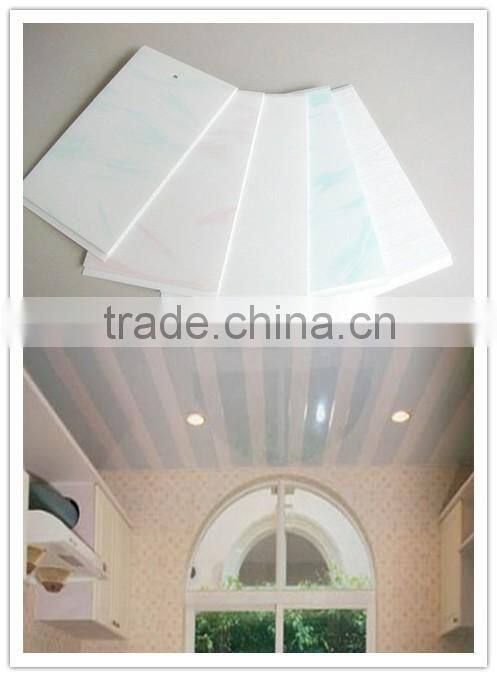 Professional Plastic Ceiling Panel Making Machine
