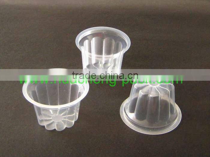 PP jelly cup,jelly container,disposable jelly cup