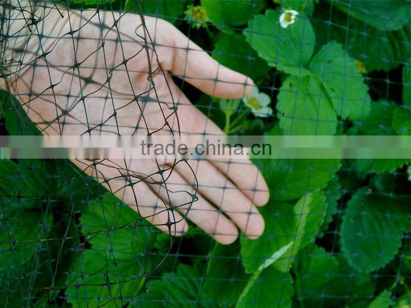 100% original HDPE raw material with UV additives Crop protection anti bird net jaring pelindung tanaman