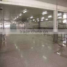 sri lankan food frozen breaded squid ring