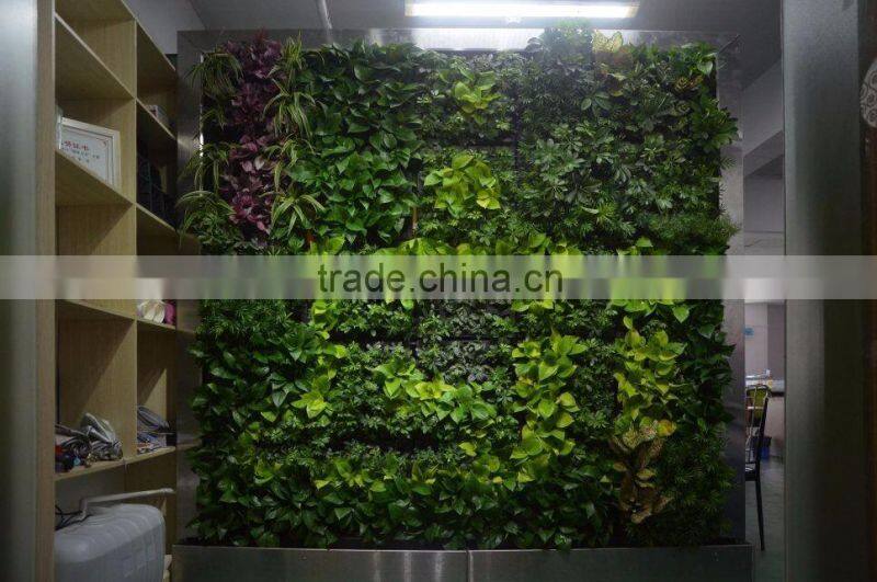 plant wall, vertical garden green wall plastic plants walls indoor and outddor use Quality Choice