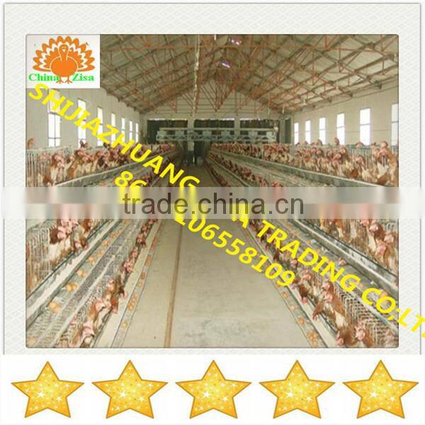 china zisa factory mainly produce Poultry chicken layer cage farm equipments cheap price