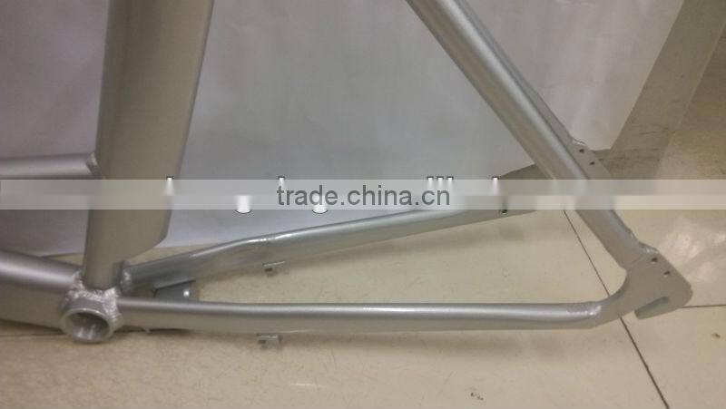E-bike frame