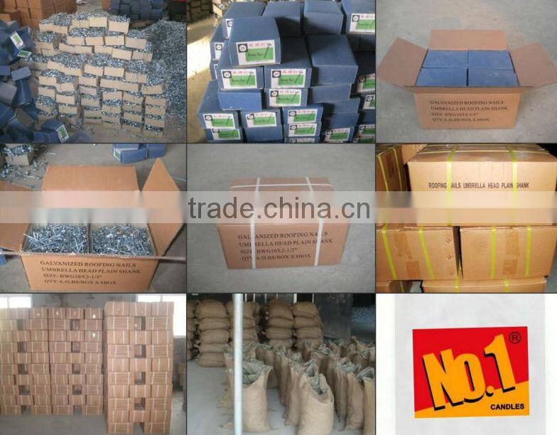 9bwg straight umbrella head galvanized roofing nails