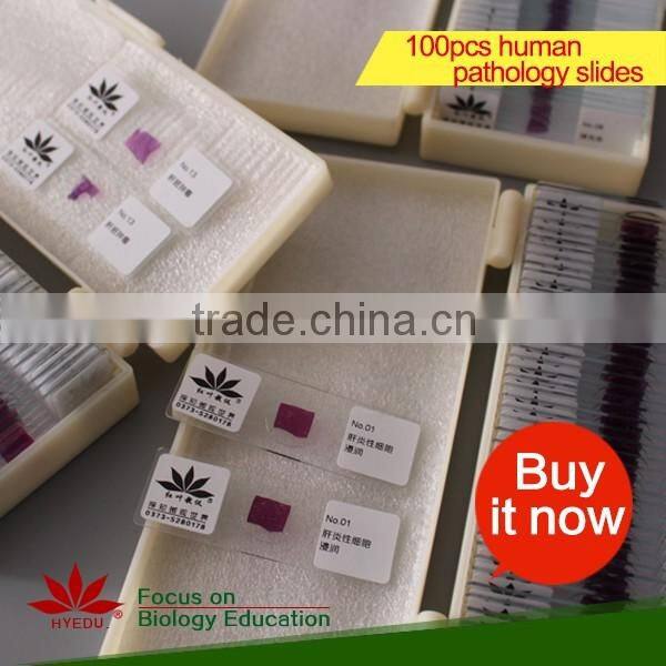 Microscope Prepared Slides ,Rock Slides, Rock Prepared Slides