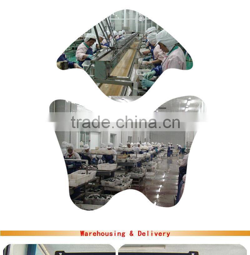 good quality canned mackerel tin fish in tomato sauce 155gX50tins