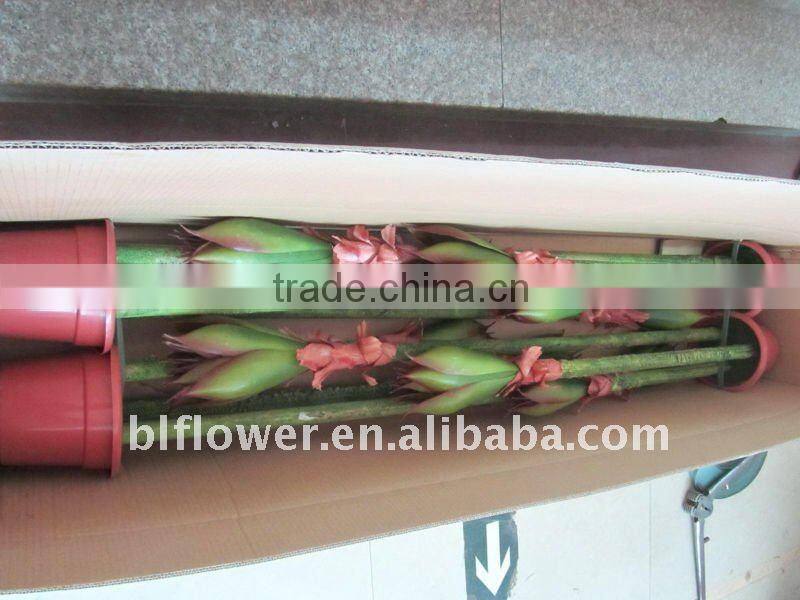 artificial potted plant tropical presentation