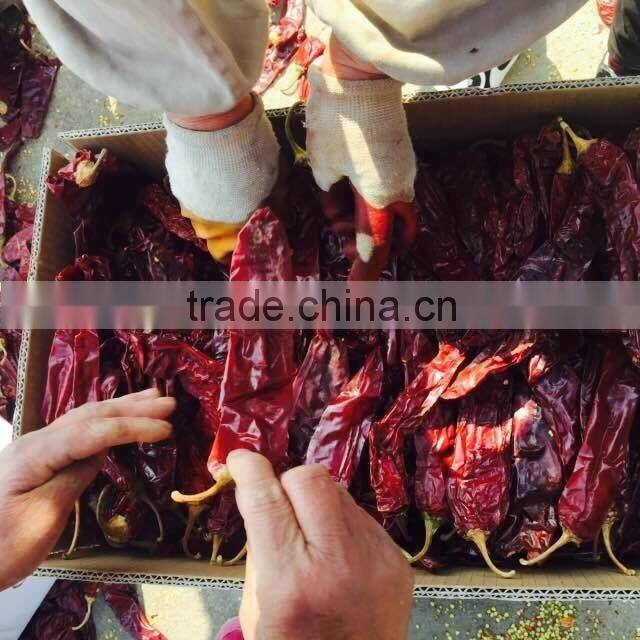 dried chilli