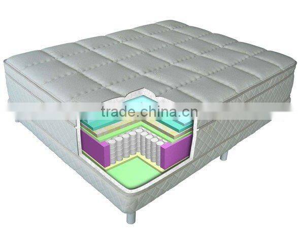Euro Box Top Pocket Spring Compressed mattress