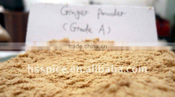 dry ginger powder