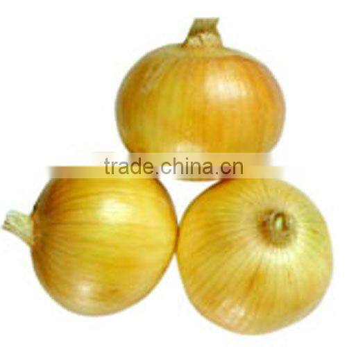 Sell Fresh vegetables-garlic, ginger, onion, potato
