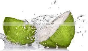 Fresh Indian Coconut in Semi Husked