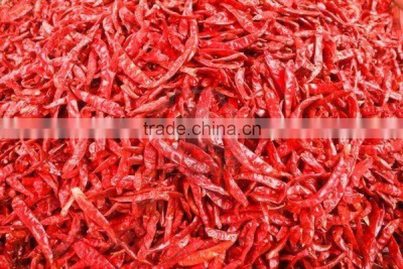 BEST QUALITY RED CHILI EXPORTER