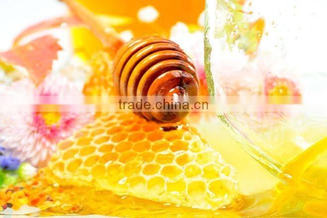 simple honey extractor hand shaking tool