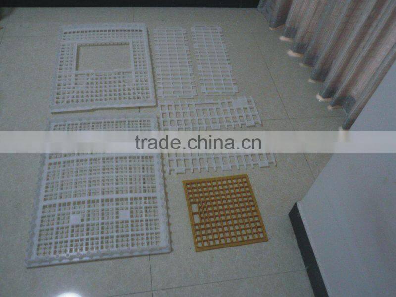 Economy transportation Coop