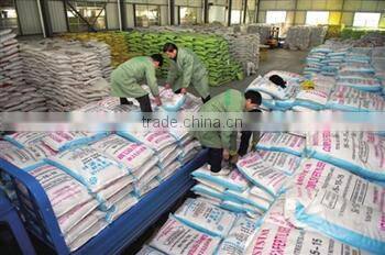 2015 Best seller Automatic Granular Packing Machine