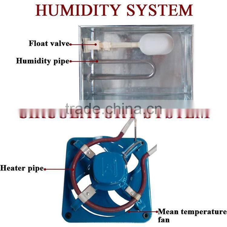 Brand new quail egg peeling machine with CE certificate