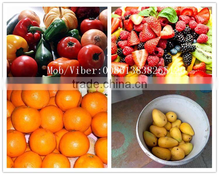 High efficiency cold press juicer orange juicer