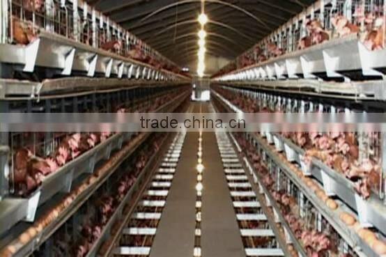 chiken egg poultry farm equipment/chicken cage for sale/automatic chicken layer cage