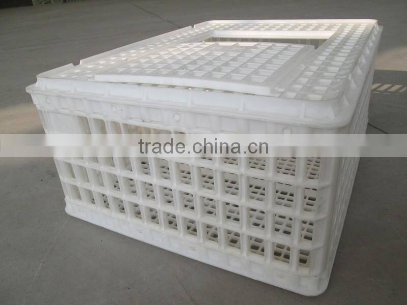 chicken coop for poultry farm