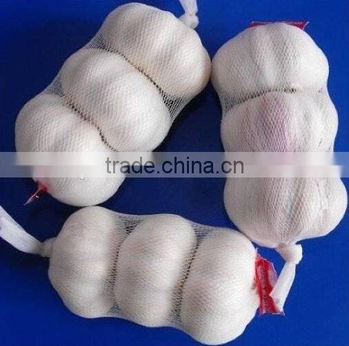 Stainless Steel Garlic & Onion Grinder