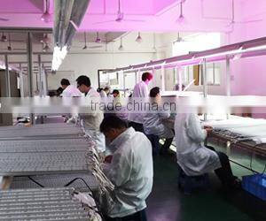 Hot seller 20w 660nm 450nm blue hydroponic led grow light bube with good price