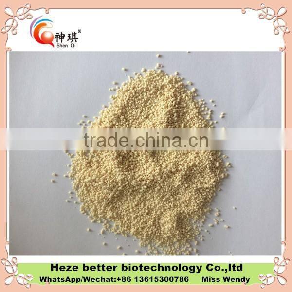 Ginger tea fast weight loss, weight loose herbal tea,herbal benefit weight loss tea, herbal weight loose