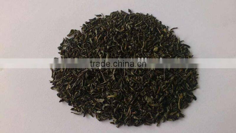 Green Tea Chunmee 41022AA, 41022AAA, 41022AAAA