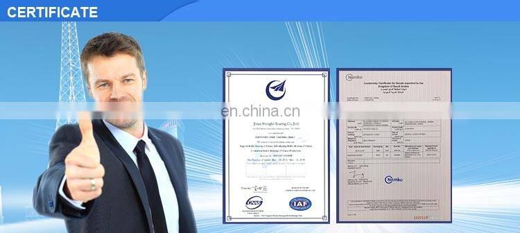 bearing RNA 49/28 Needle Roller Bearing