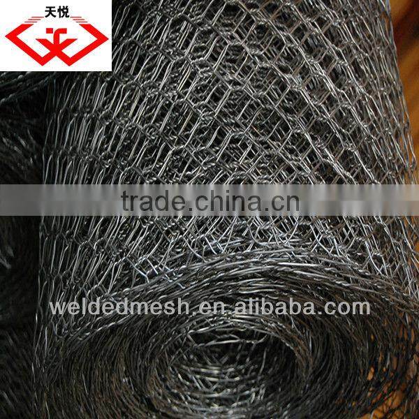 hexagonal wire mesh(tyd)
