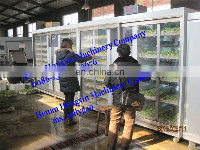 Alfalfa Sprout Growing Machine/bean sprout machine/Bean sprouts machine