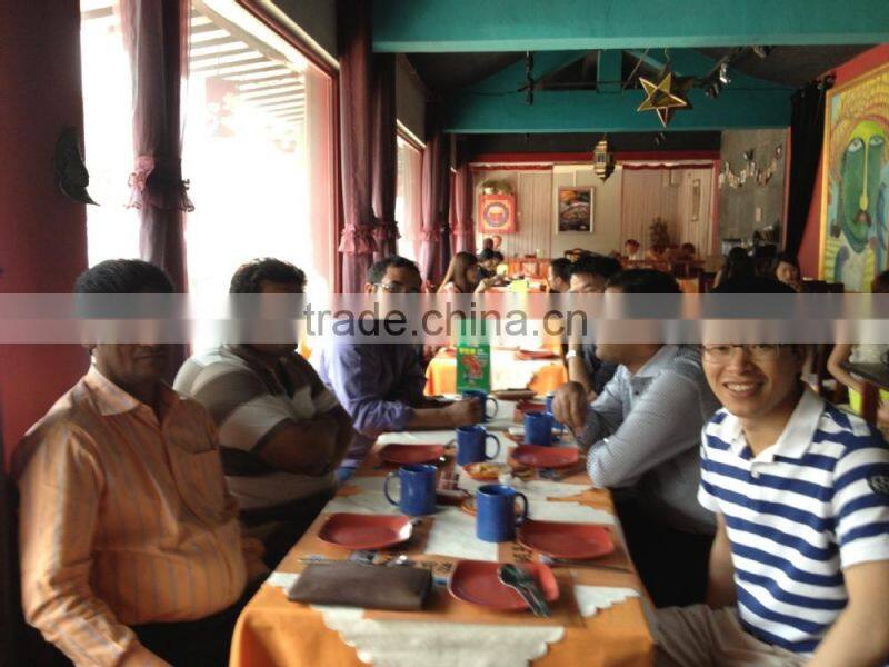 Brick kiln for drying and firing, automatic brick production line