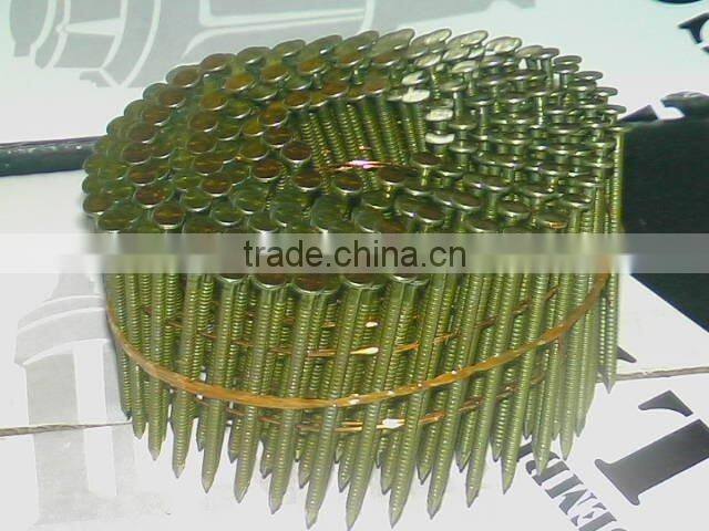 low price coil nails factory in China