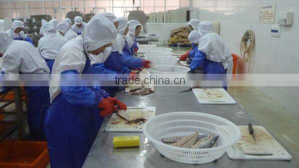 Best Quality Seafood Product Frozen Spanish Mackerel Fillet