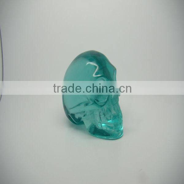 skull model human for sale