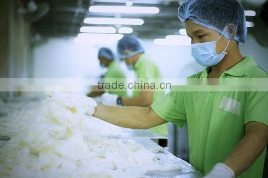 Dental Latex Gloves, Latex Examination Gloves, Surgical Gloves