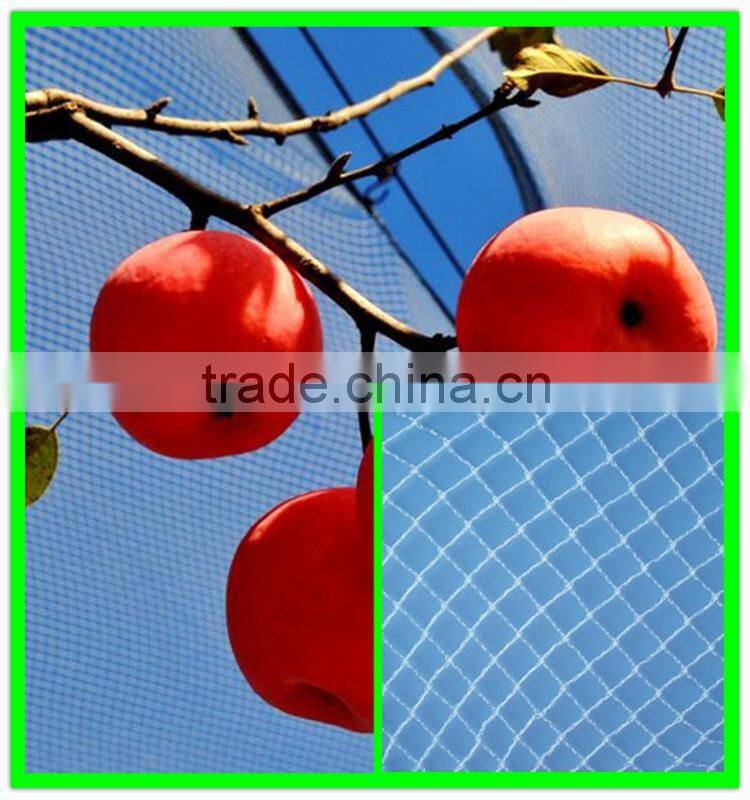 woven fabric PE guard hail mesh plastic fruit tree netting
